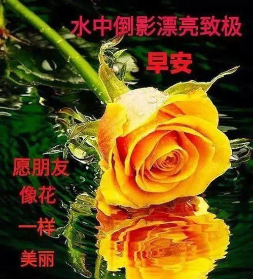 中老年表情包,朋友早安,请收下三件宝快乐好运身体好