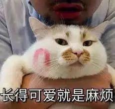 哦买噶表情包原版真人受虐