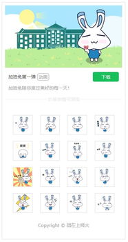加油兔表情包已经上线速速来斗图