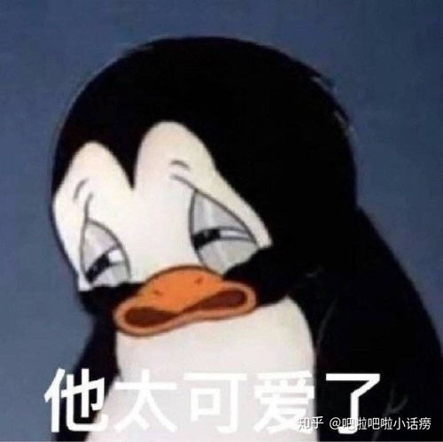 扒拉扒拉我的小暗恋
