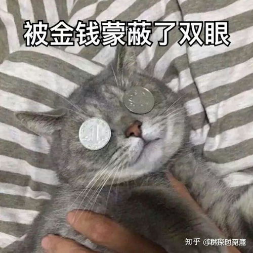 发烧表情包图片大全偶尔