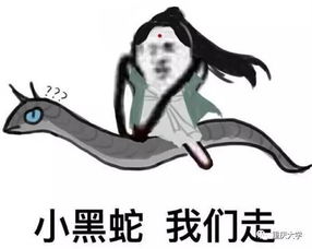 女仙友快看,可护三生三世平安的修仙秘籍呐
