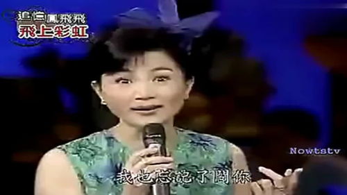 凤飞飞高凌风合唱经典歌曲,强强联手好听至极,费玉清的表情亮了