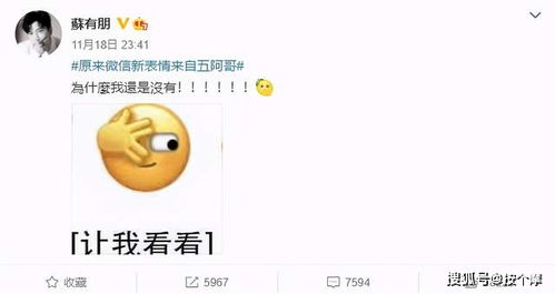 微信表情解释图片大全五阿哥