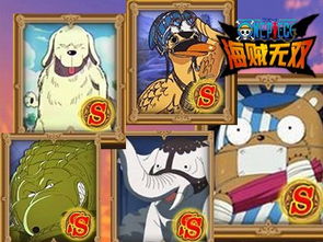 海贼无双人气萌宠疯狂进化
