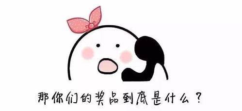 全新上线啦