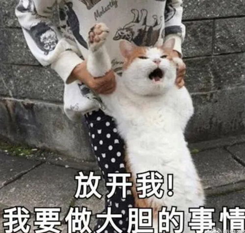 11人被查买分卖分都违法遵义交警持续深挖彻查