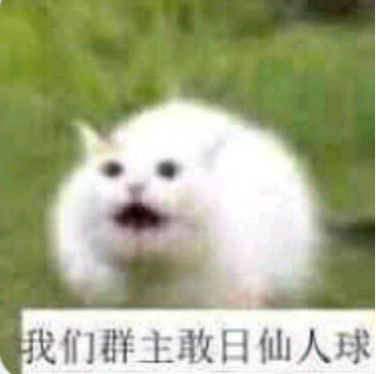 姐妹你也不赖嘛夸人表情包斗图表情