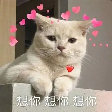 还不起床碗里没鱼你造吗第264期喵表情