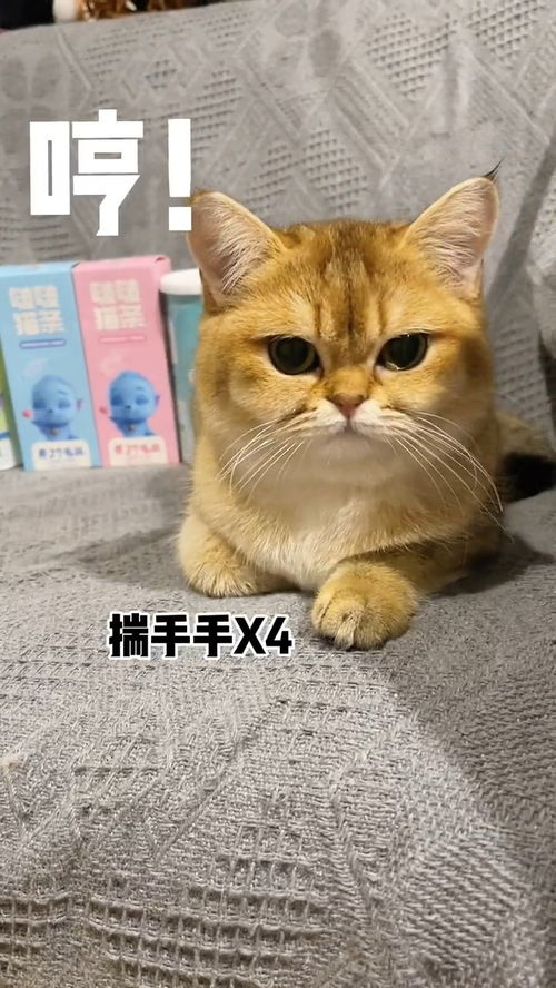 拔头发表情包根毛