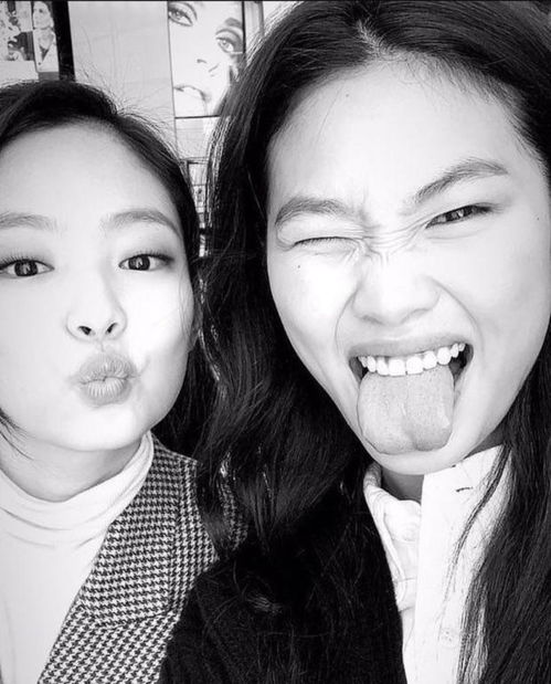 jennie表情包郑浩妍