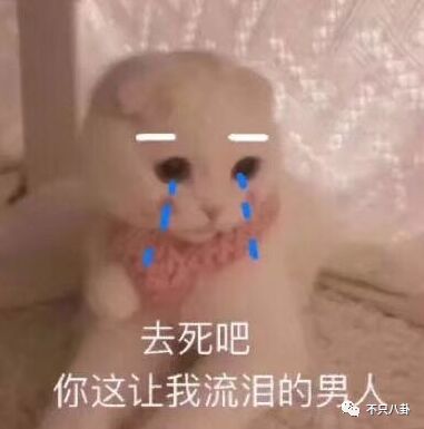 陈翔出轨江铠同被毛晓彤抓包视频曝光这大概是史上最实的锤了吧