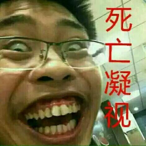 正直的猫砂盆