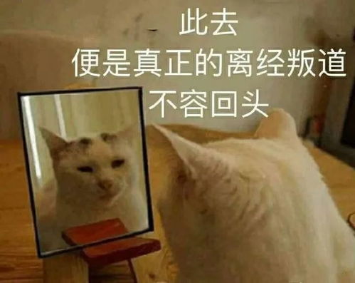 表情包唯有优秀,才更可爱