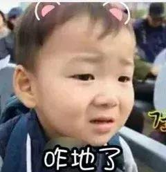 谢娜生娃张杰频繁上综艺,被评变化惊人综艺感真的很迷吗