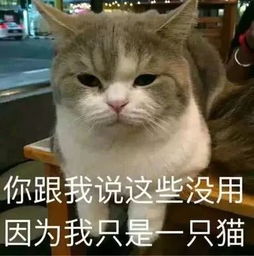 职场新人靠什么在公司上位