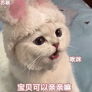 表情好像所有的美好都发生在夏天