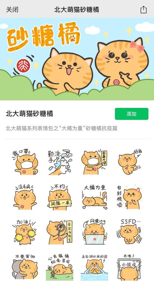 大橘为重北大萌猫系列表情包之砂糖橘上线