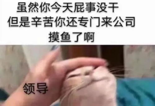 做表情包的文字搞笑摸鱼