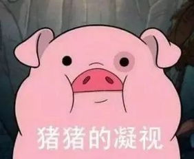 2019年猪年纪念币来啦长春人如何预约看这里
