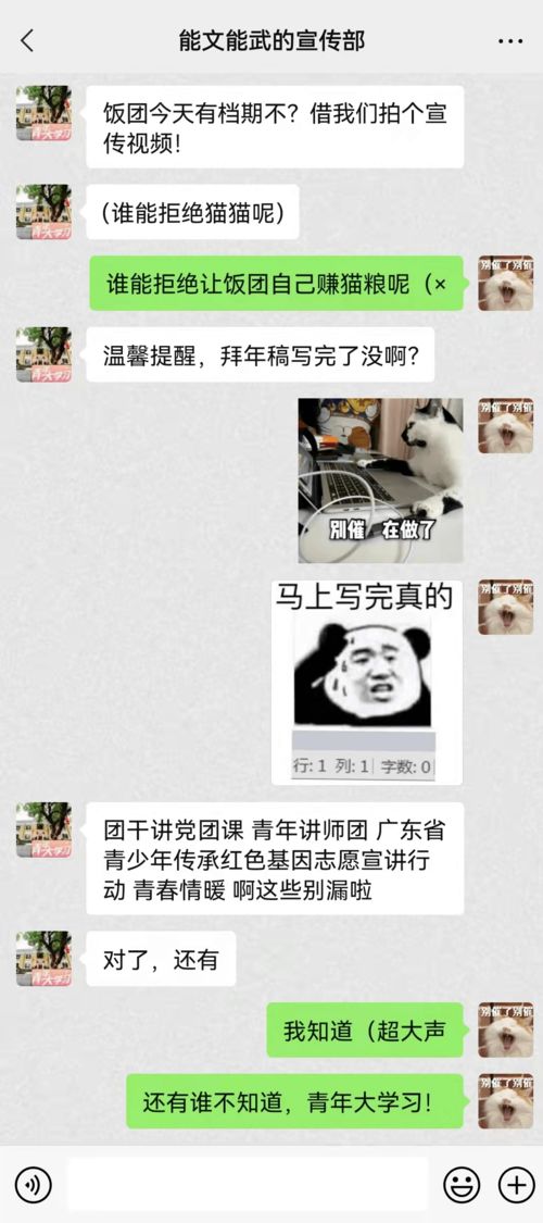 手机上交藏了一年的表情包