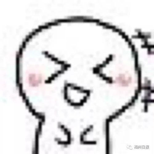 美爆高清大图十分靓梅州江南新城近3000套安置房竣工验收