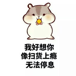 求小仓鼠表情包,最好是对男票专用的oo