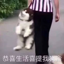 电话地址价格营业时间碑林区小吃快餐团购