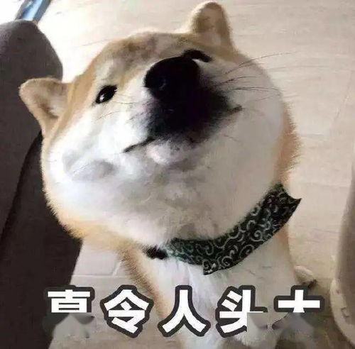 我的名字,你做主,品牌征名活动开始啦