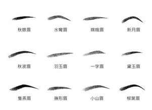 眉毛都有什么类型图解