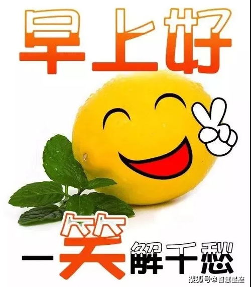 早上好表情包搞笑早安