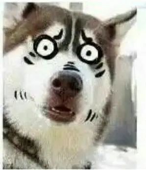 表情目瞪口呆表情包