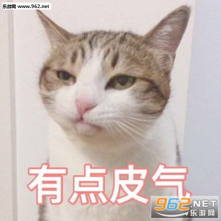 废物表情包图片表情
