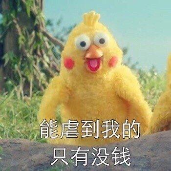 鹦鹉兄弟表情包对不起,情人节虐不了我,我最爱的是钱