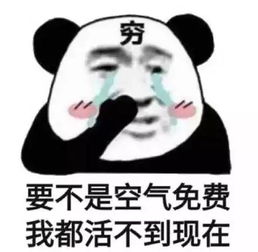 2019下半年这12个新盘有望进入战场有没有你的真命天子
