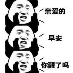 早安表情包合集