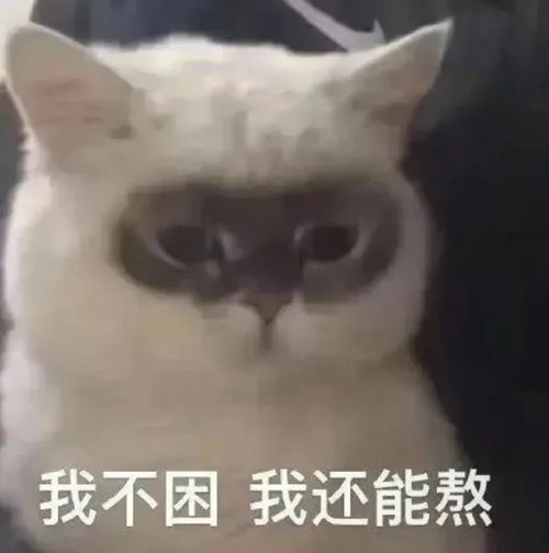 精神抖擞表情包熊猫眼小方