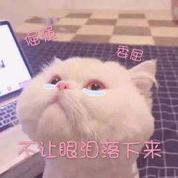 跟男朋友撒娇表情包给你布置作业,睡前想我
