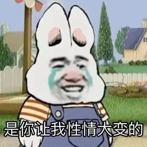 找女生聊天开头表情包哪些