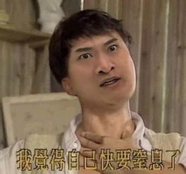 我想静静鼻孔帝尔康表情包大全你们干脆给我一刀
