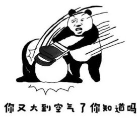 连续40的高温,把重庆人个个热成了段子手