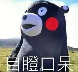 事发儋州,民警打开女子3个包,内塞大量避孕套,一查竟是再一查,更不得了