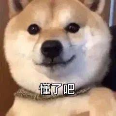抖音热门表情包在查资料如何让你做我女朋友