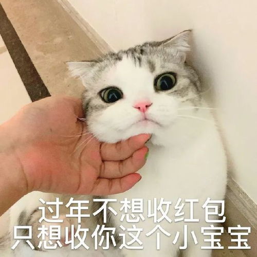 分享一组过年讨红包的表情包
