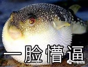两家庭国庆相约出游,结果因给孩子带不带ipad,互怼到分道扬镳