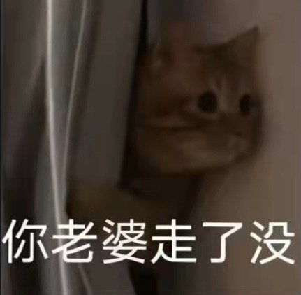 你老婆走了没猫咪表情包猫咪老婆表情