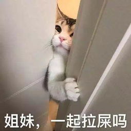 脂肪肝到肝癌只需4步,别再把它不当回事了