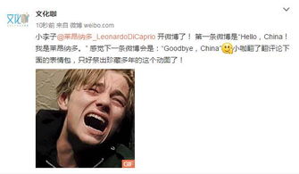小李子开微博,评论里表情包大聚会快来收图啊