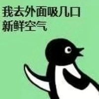 黑白企鹅表情包微信头像图片大全
