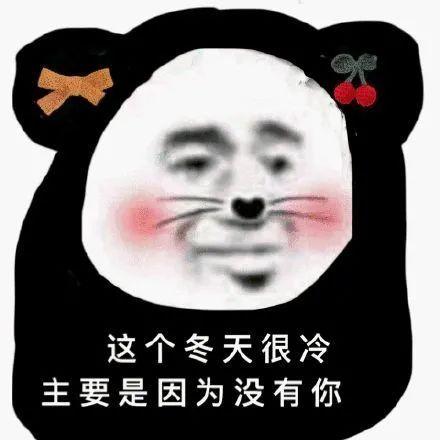 猫咪可爱表情包动态罗文姬表情包表情包沙雕表情包大全